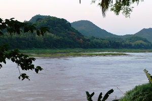 Flamboyant trees across the Mekong River