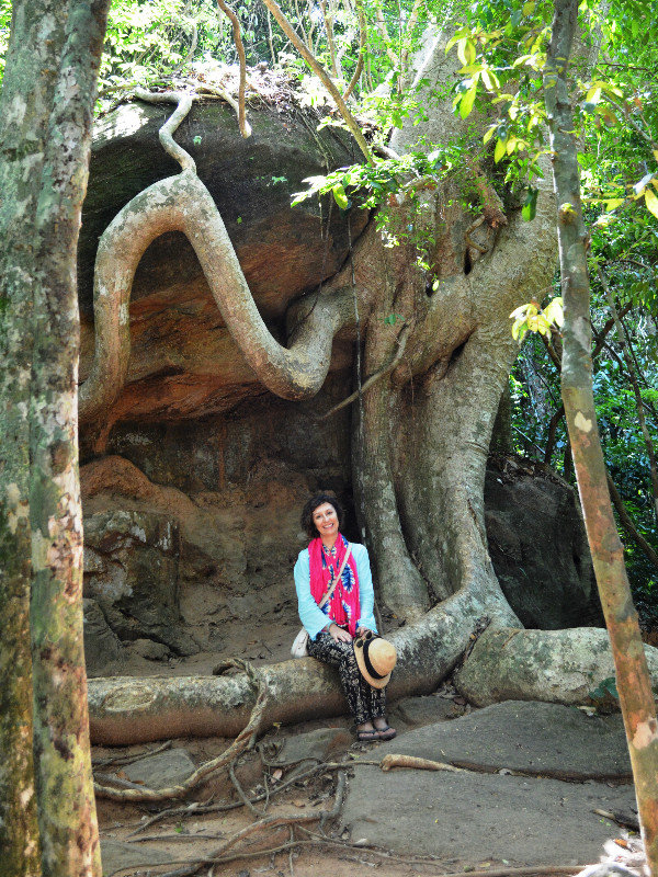 Root rest-stop along Kbal Spean River