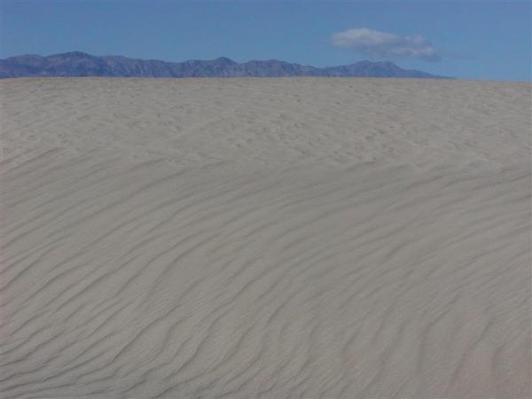 Dunes pic 2