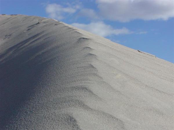 Dune ridge pic 1