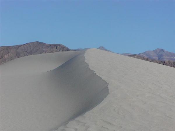 Dune ridge pic 2