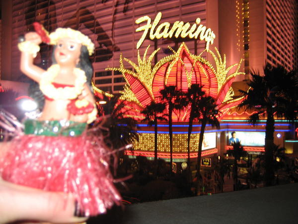 the Flamingo Hotel