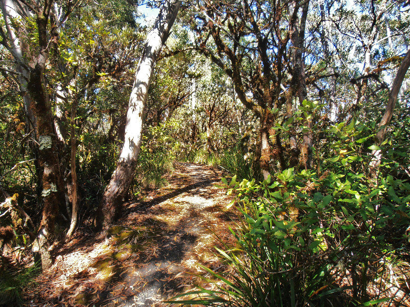 The Point Lookout trail