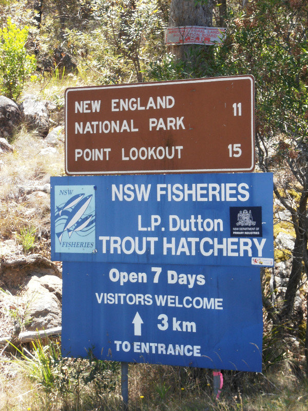 Trout Hatchery sign