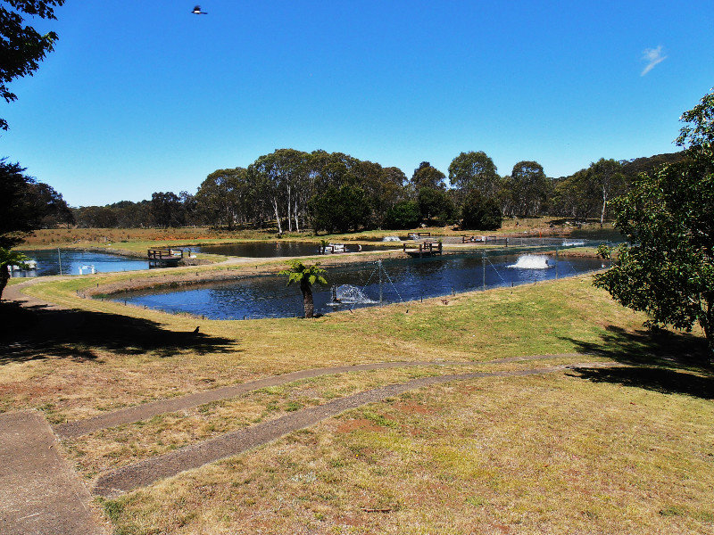 Trout Hatchery