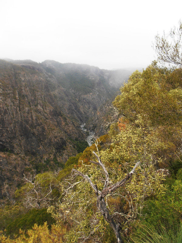 Wollomombi and Checks Lookout
