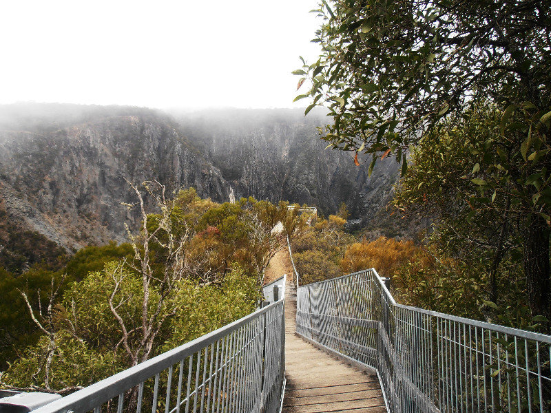 Wollomombi Gorge and Lookout