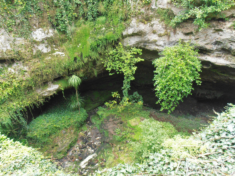 The Cave Gardens