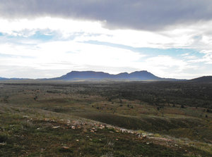 Wilpena Pound in the distand overlooking Rawnsley.