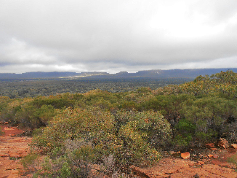 View from the top of Wilpena lookout