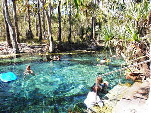 Mataranka - Bitter Springs Thermal Pools