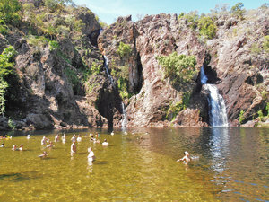 Wangi Falls swimming hole.