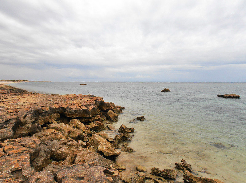 Ningaloo reef