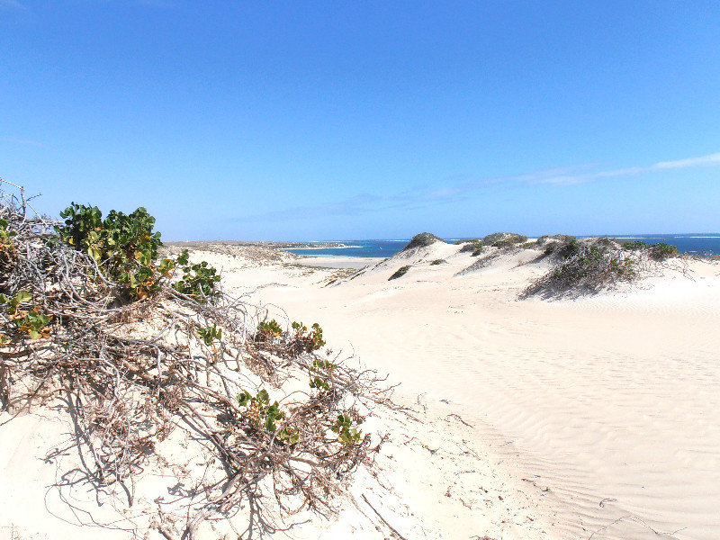 Pure white sand dunes overlooking Coral Bay