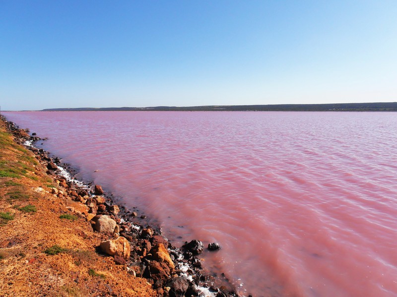 The Pink Lake - Port Gregory