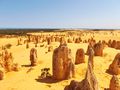 The Pinnacles with the Indian Ocean and Sand Dunes in background