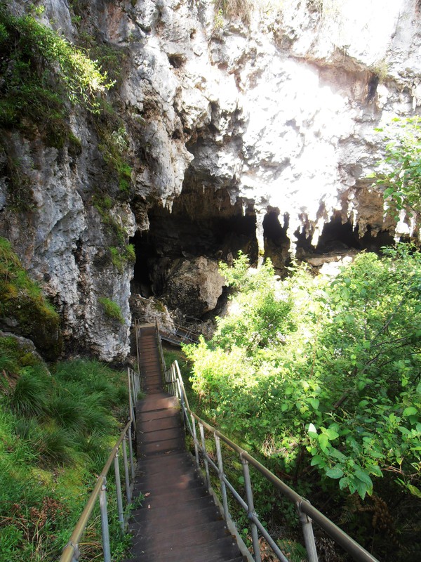 Calgardup Cave entrance