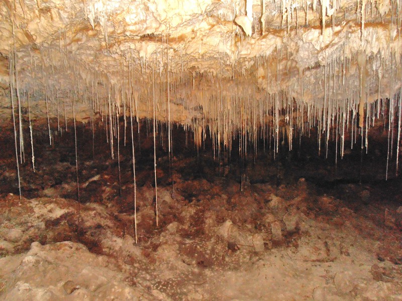 These are the "last straws" in Jewel cave