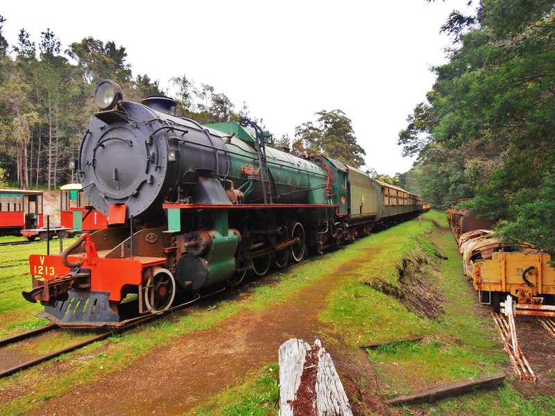Pemberton Steam Train