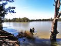 The meeting of the Murray and Darling Rivers