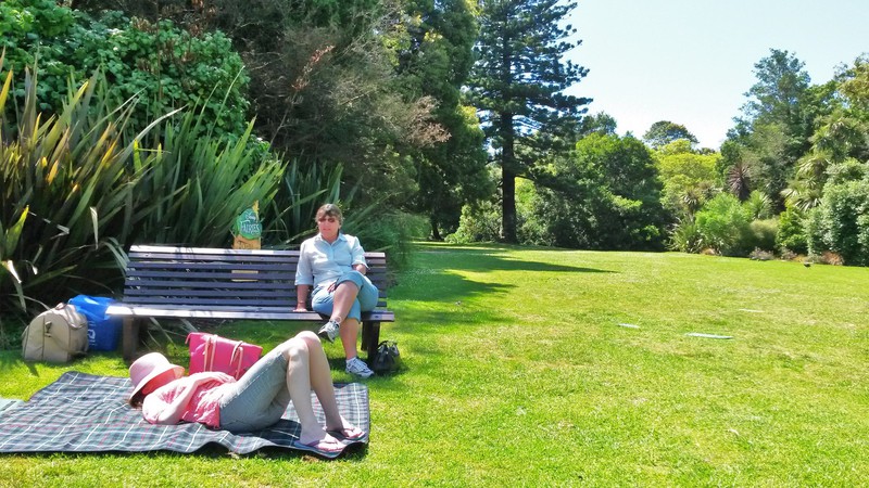 Christmas Lunch nap in Melbourne Botanic Gardens