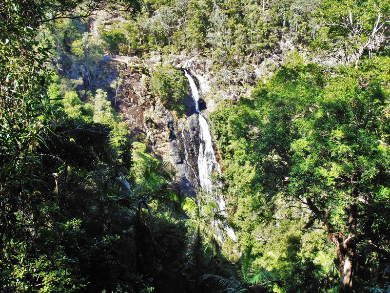 Kondalilla Falls