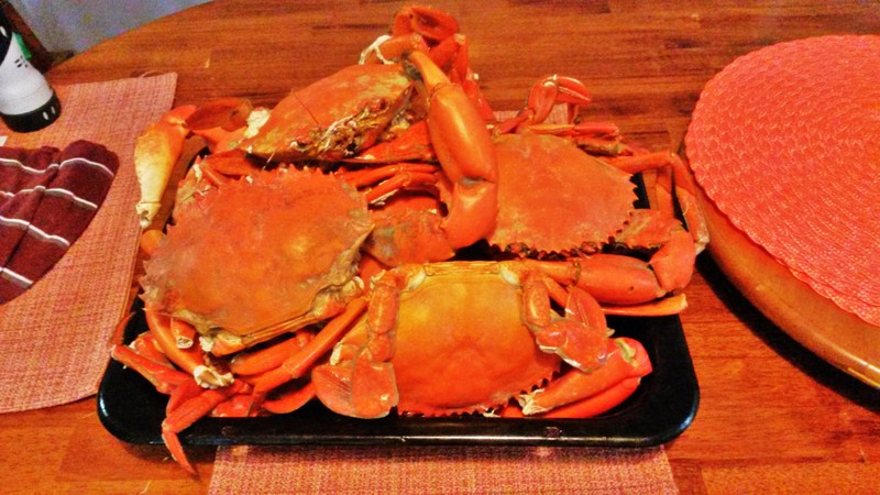 Our stack of cooked fresh Qld Mud Crab