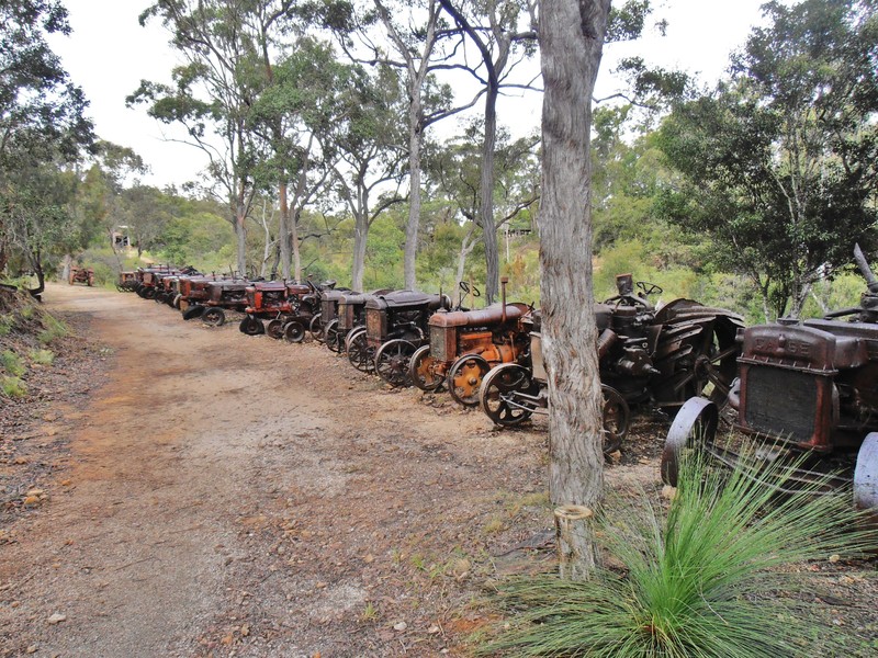 Vintage Tractor display