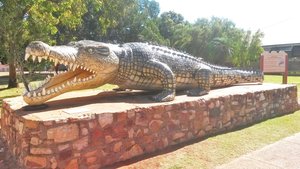 Life size replica of the largest crocodile ever caught