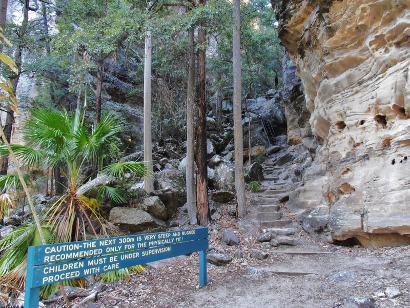 The start of the 900 step climb