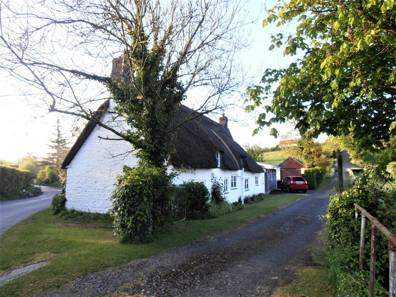 Thatched house Martinstown