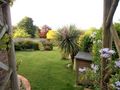 Our back yard at Itchen Abbas