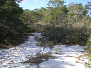 Jupiter Ridge Natural Area Trail