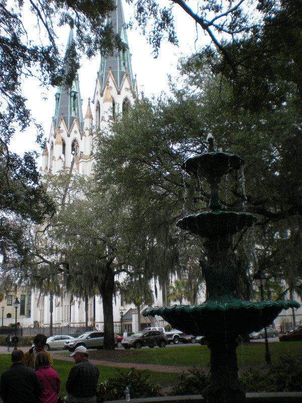 Savannah - Cathedral