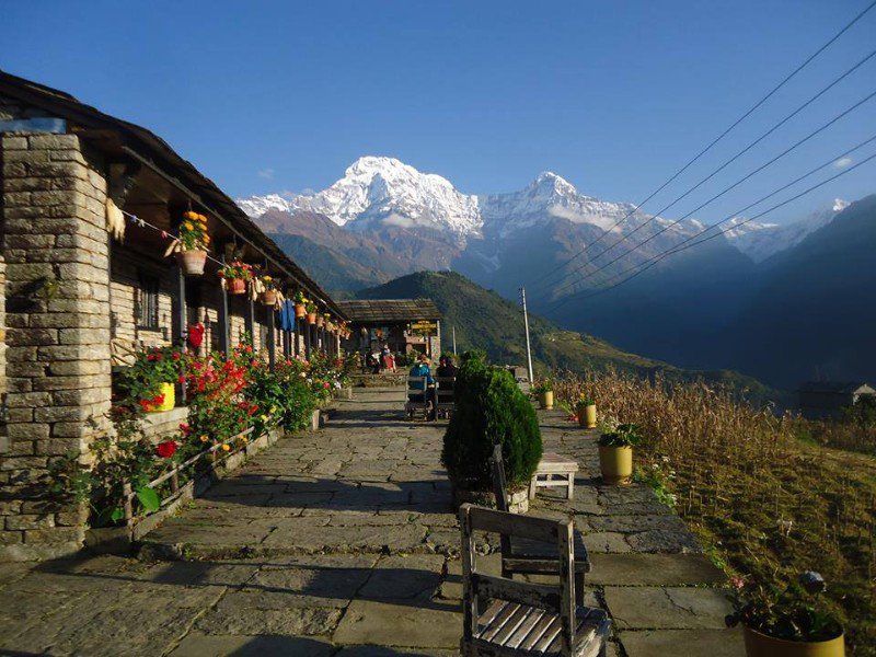 gurung cottage ghandruk | Photo