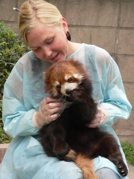 Sarah With Red Panda