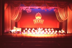 Dance and theatre show at Schoolchildren's Palace