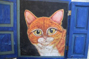 A painted cat