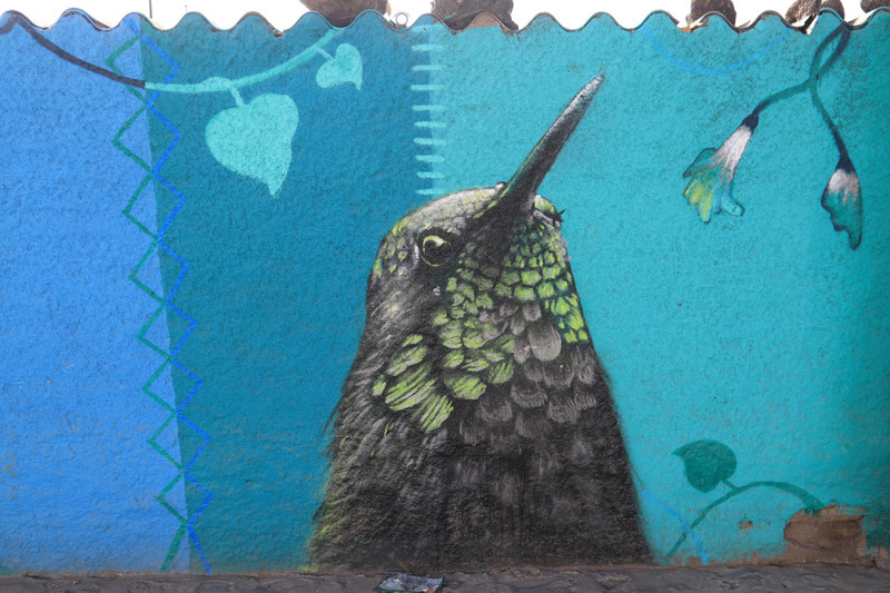 Bird painted on a wall
