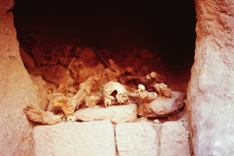 Human remains in an open grave