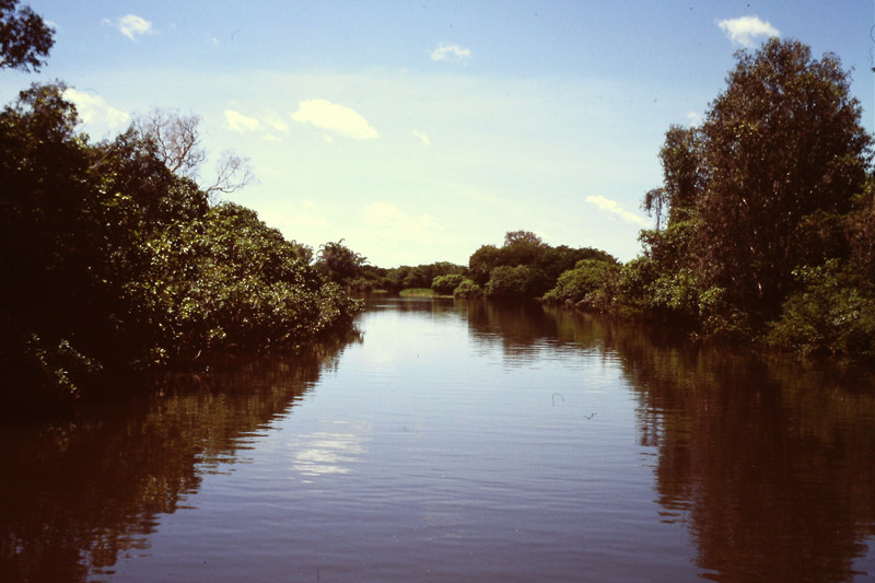 River in Kakadu NP