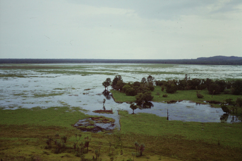 Flooded land in Kakadu NP