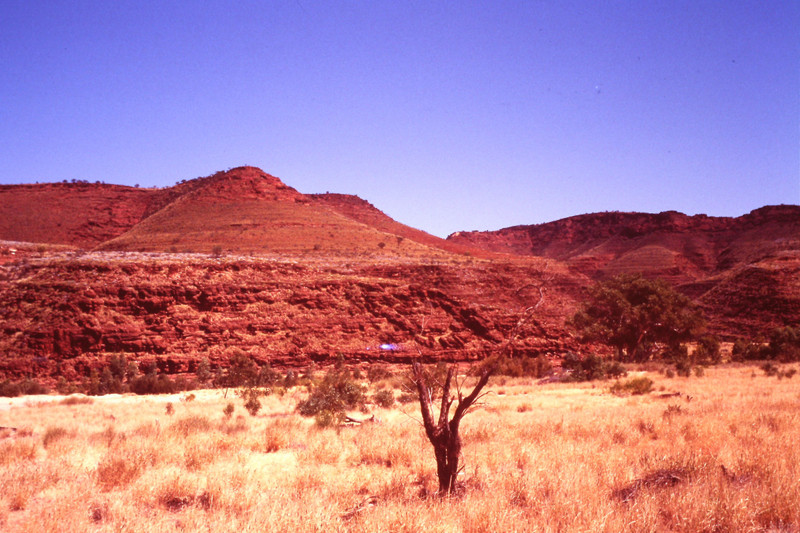 Wilderness outside Alice Springs