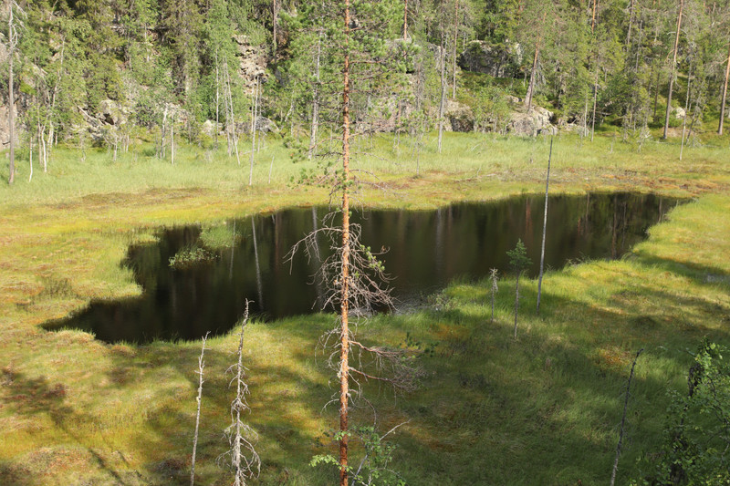 Bog with a small lake