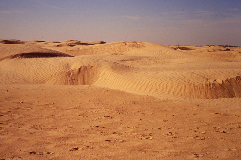 Desert outside Douz