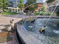 The dog fountain
