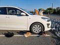 Cats all over the car
