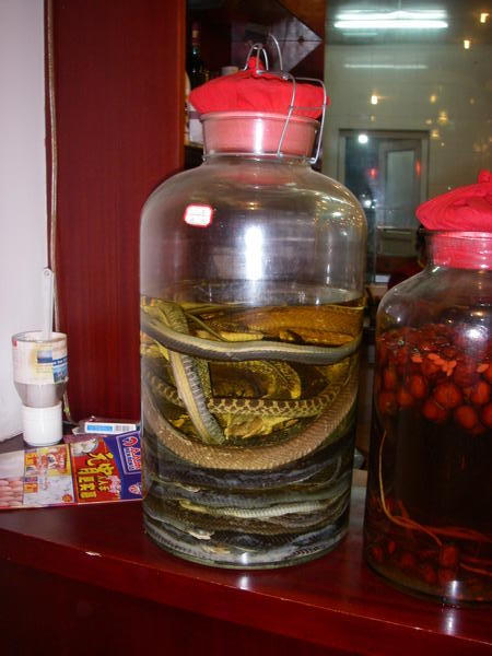 Snakes in a jar