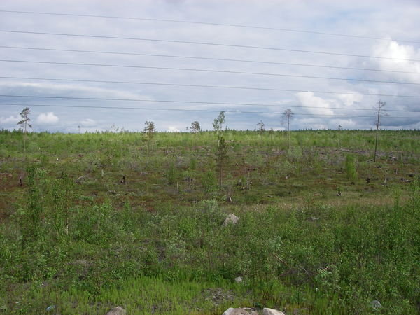 Landscape around Monchegorsk