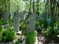 Kola cemetery 